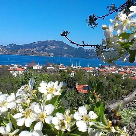 Mavi Deniz Selimiye Guest house